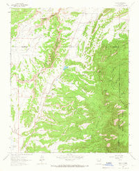 Regina New Mexico Historical topographic map, 1:24000 scale, 7.5 X 7.5 Minute, Year 1963