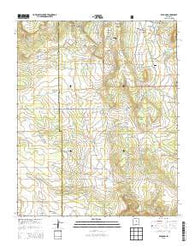 Rencona New Mexico Historical topographic map, 1:24000 scale, 7.5 X 7.5 Minute, Year 2013