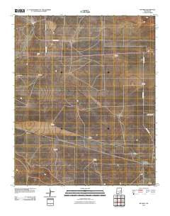 Ricardo New Mexico Historical topographic map, 1:24000 scale, 7.5 X 7.5 Minute, Year 2010