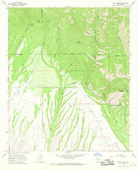 Rice Ranch New Mexico Historical topographic map, 1:24000 scale, 7.5 X 7.5 Minute, Year 1965