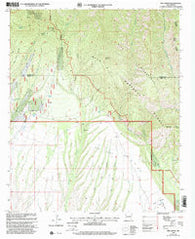 Rice Ranch New Mexico Historical topographic map, 1:24000 scale, 7.5 X 7.5 Minute, Year 1999
