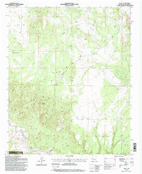 Riley New Mexico Historical topographic map, 1:24000 scale, 7.5 X 7.5 Minute, Year 1995