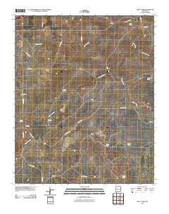 Riley Camp New Mexico Historical topographic map, 1:24000 scale, 7.5 X 7.5 Minute, Year 2010