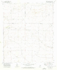Rippee Ranch New Mexico Historical topographic map, 1:24000 scale, 7.5 X 7.5 Minute, Year 1973