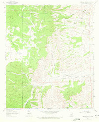 Robertson Canyon New Mexico Historical topographic map, 1:24000 scale, 7.5 X 7.5 Minute, Year 1963