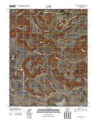 Robinson Peak New Mexico Historical topographic map, 1:24000 scale, 7.5 X 7.5 Minute, Year 2010