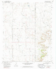 Rock Camp Texas Historical topographic map, 1:24000 scale, 7.5 X 7.5 Minute, Year 1968