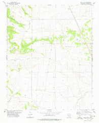 Rock Lake New Mexico Historical topographic map, 1:24000 scale, 7.5 X 7.5 Minute, Year 1978