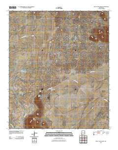 Rock Tank Draw New Mexico Historical topographic map, 1:24000 scale, 7.5 X 7.5 Minute, Year 2010