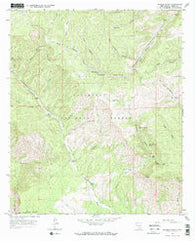 Rogers Ruins New Mexico Historical topographic map, 1:24000 scale, 7.5 X 7.5 Minute, Year 1965