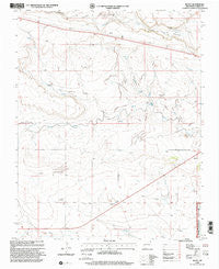 Royce New Mexico Historical topographic map, 1:24000 scale, 7.5 X 7.5 Minute, Year 1998