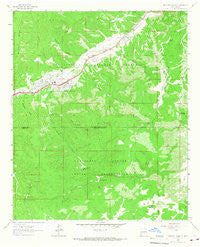 Ruidoso Downs New Mexico Historical topographic map, 1:24000 scale, 7.5 X 7.5 Minute, Year 1963