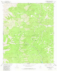 Sacramento Peak New Mexico Historical topographic map, 1:24000 scale, 7.5 X 7.5 Minute, Year 1981