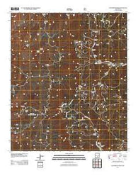 Sacramento Peak New Mexico Historical topographic map, 1:24000 scale, 7.5 X 7.5 Minute, Year 2011