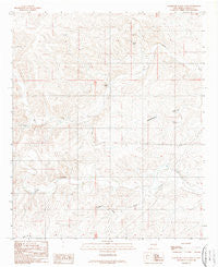 Sagebrush Valley West New Mexico Historical topographic map, 1:24000 scale, 7.5 X 7.5 Minute, Year 1989
