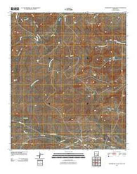 Sagebrush Valley East New Mexico Historical topographic map, 1:24000 scale, 7.5 X 7.5 Minute, Year 2010