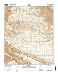 Saladone Tank New Mexico Current topographic map, 1:24000 scale, 7.5 X 7.5 Minute, Year 2017