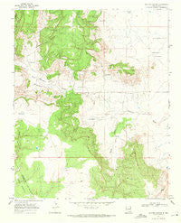 Salitre Canyon New Mexico Historical topographic map, 1:24000 scale, 7.5 X 7.5 Minute, Year 1969