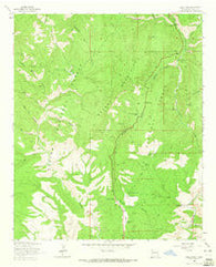 Saliz Pass New Mexico Historical topographic map, 1:24000 scale, 7.5 X 7.5 Minute, Year 1963