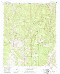 Saliz Pass New Mexico Historical topographic map, 1:24000 scale, 7.5 X 7.5 Minute, Year 1963