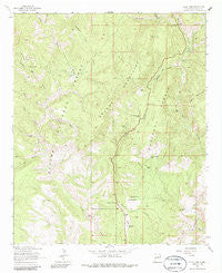 Saliz Pass New Mexico Historical topographic map, 1:24000 scale, 7.5 X 7.5 Minute, Year 1963