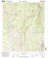 Saliz Pass New Mexico Historical topographic map, 1:24000 scale, 7.5 X 7.5 Minute, Year 1999