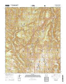Saliz Pass New Mexico Historical topographic map, 1:24000 scale, 7.5 X 7.5 Minute, Year 2013