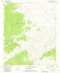 Salvation Peak New Mexico Historical topographic map, 1:24000 scale, 7.5 X 7.5 Minute, Year 1981