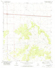 San Ignacio New Mexico Historical topographic map, 1:24000 scale, 7.5 X 7.5 Minute, Year 1978