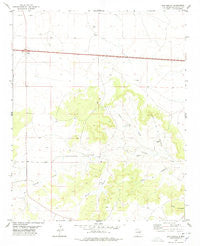 San Ignacio New Mexico Historical topographic map, 1:24000 scale, 7.5 X 7.5 Minute, Year 1978