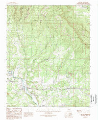 San Jose New Mexico Historical topographic map, 1:24000 scale, 7.5 X 7.5 Minute, Year 1989