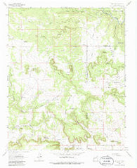 San Juan New Mexico Historical topographic map, 1:24000 scale, 7.5 X 7.5 Minute, Year 1963