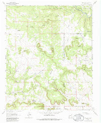 San Juan New Mexico Historical topographic map, 1:24000 scale, 7.5 X 7.5 Minute, Year 1963