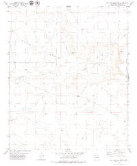 San Juan Mesa West New Mexico Historical topographic map, 1:24000 scale, 7.5 X 7.5 Minute, Year 1979