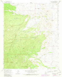 San Juan Peak New Mexico Historical topographic map, 1:24000 scale, 7.5 X 7.5 Minute, Year 1964