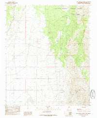 San Lorenzo Spring New Mexico Historical topographic map, 1:24000 scale, 7.5 X 7.5 Minute, Year 1985