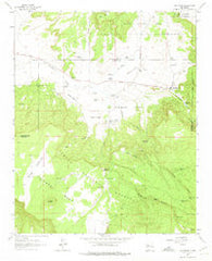 San Mateo New Mexico Historical topographic map, 1:24000 scale, 7.5 X 7.5 Minute, Year 1963