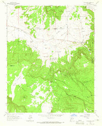 San Mateo New Mexico Historical topographic map, 1:24000 scale, 7.5 X 7.5 Minute, Year 1963