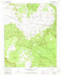 San Mateo New Mexico Historical topographic map, 1:24000 scale, 7.5 X 7.5 Minute, Year 1963
