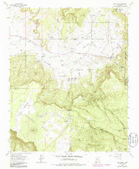 San Mateo New Mexico Historical topographic map, 1:24000 scale, 7.5 X 7.5 Minute, Year 1963