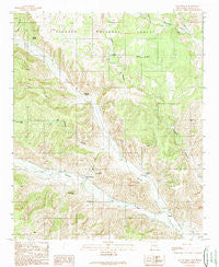 San Patricio New Mexico Historical topographic map, 1:24000 scale, 7.5 X 7.5 Minute, Year 1989