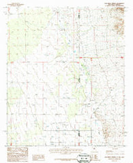 San Simon Cienega New Mexico Historical topographic map, 1:24000 scale, 7.5 X 7.5 Minute, Year 1987