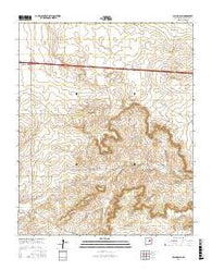 San Ignacio New Mexico Current topographic map, 1:24000 scale, 7.5 X 7.5 Minute, Year 2017