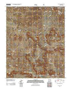 San Juan New Mexico Historical topographic map, 1:24000 scale, 7.5 X 7.5 Minute, Year 2011