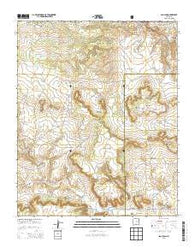 San Juan New Mexico Historical topographic map, 1:24000 scale, 7.5 X 7.5 Minute, Year 2013