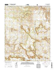 San Juan New Mexico Historical topographic map, 1:24000 scale, 7.5 X 7.5 Minute, Year 2013