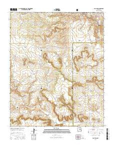 San Juan New Mexico Current topographic map, 1:24000 scale, 7.5 X 7.5 Minute, Year 2017