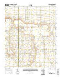 San Juan Mesa East New Mexico Historical topographic map, 1:24000 scale, 7.5 X 7.5 Minute, Year 2013