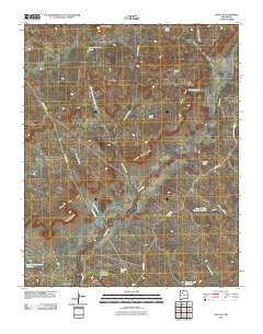 San Luis New Mexico Historical topographic map, 1:24000 scale, 7.5 X 7.5 Minute, Year 2010