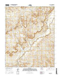 San Luis New Mexico Current topographic map, 1:24000 scale, 7.5 X 7.5 Minute, Year 2017